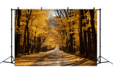 Golden Autumn Path Backdrop for Photography BRP7-202