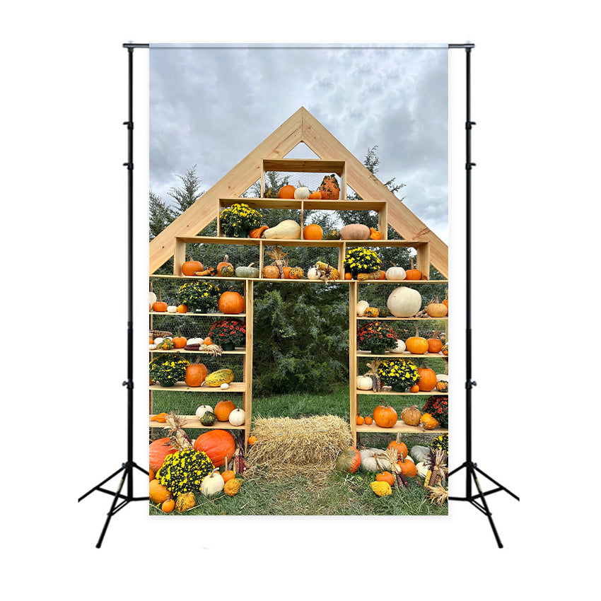 Rustic Pumpkin Display Autumn Backdrop for Photography BRP7-208