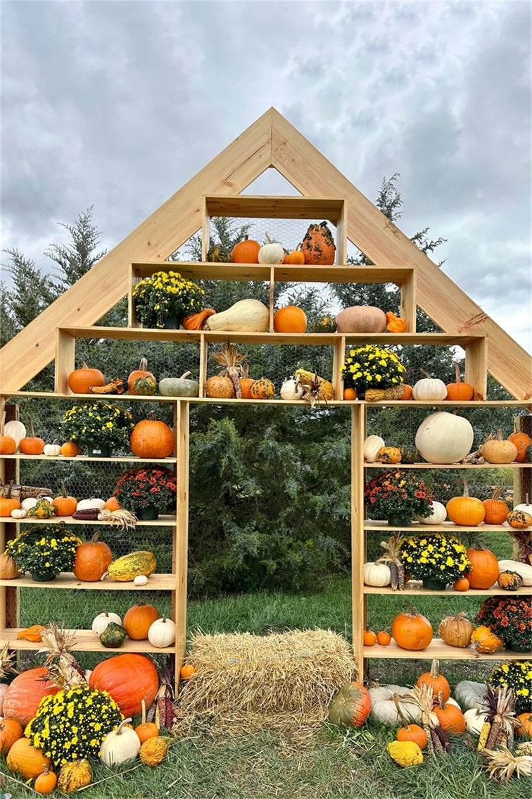 Rustic Pumpkin Display Autumn Backdrop for Photography BRP7-208