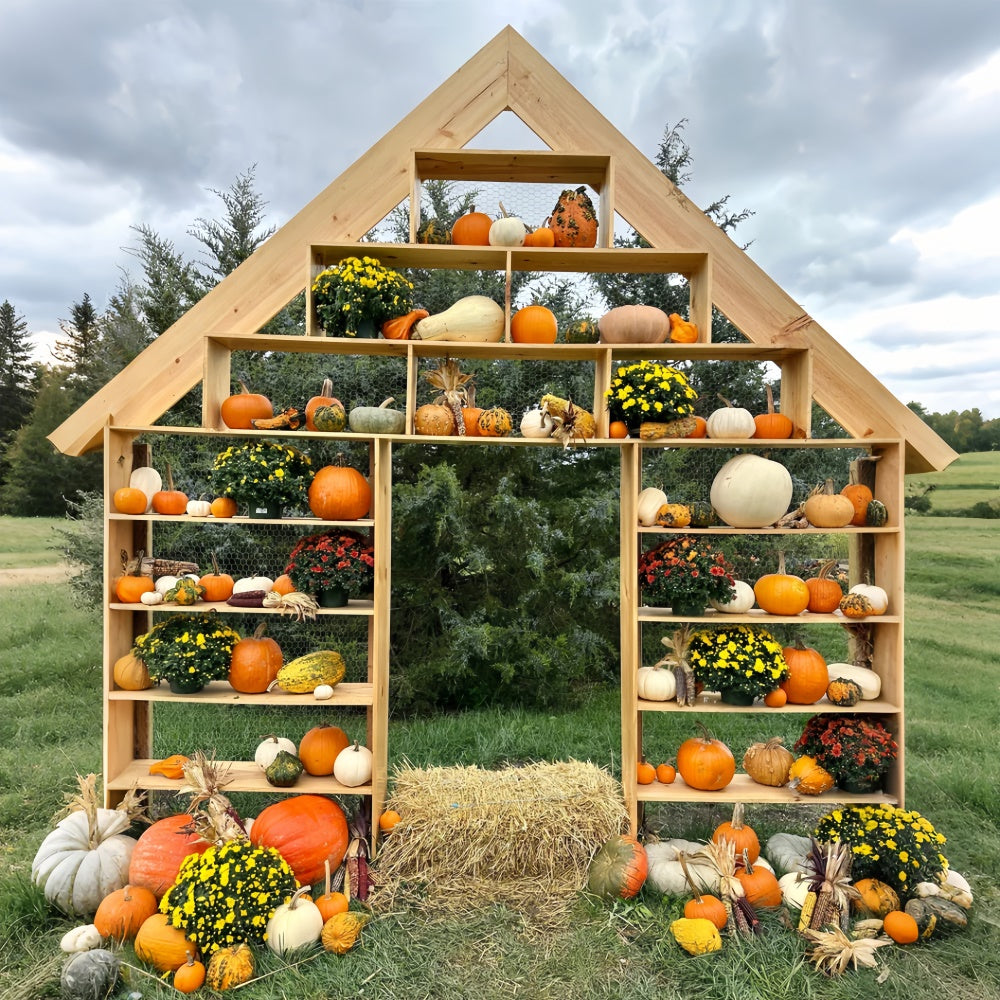 Rustic Pumpkin Display Autumn Backdrop for Photography BRP7-208