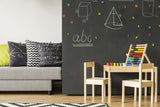 Back to School Small Classroom Photography Backdrop BRP7-23