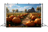 Pumpkin Farm Fall Backdrop for Photography BRP7-70