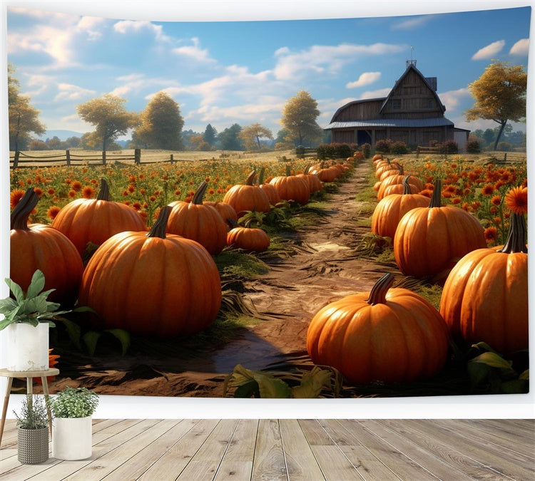 Pumpkin Farm Fall Backdrop for Photography BRP7-70