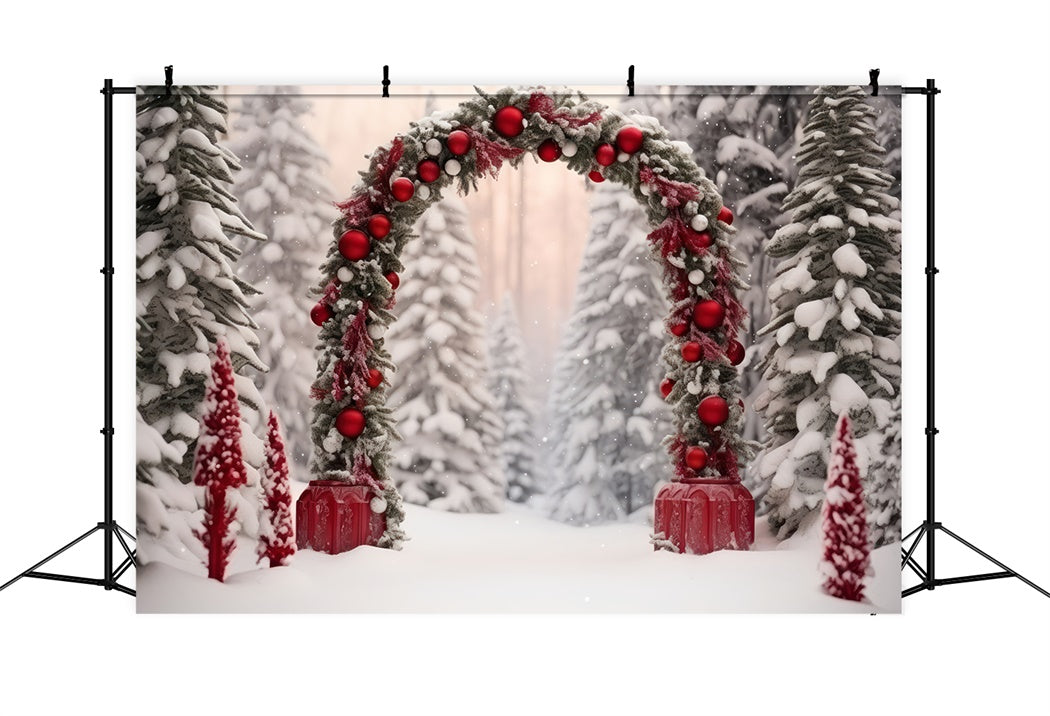 Holiday Wonderland Pathway with Snowy Arch Backdrop BRP8-127