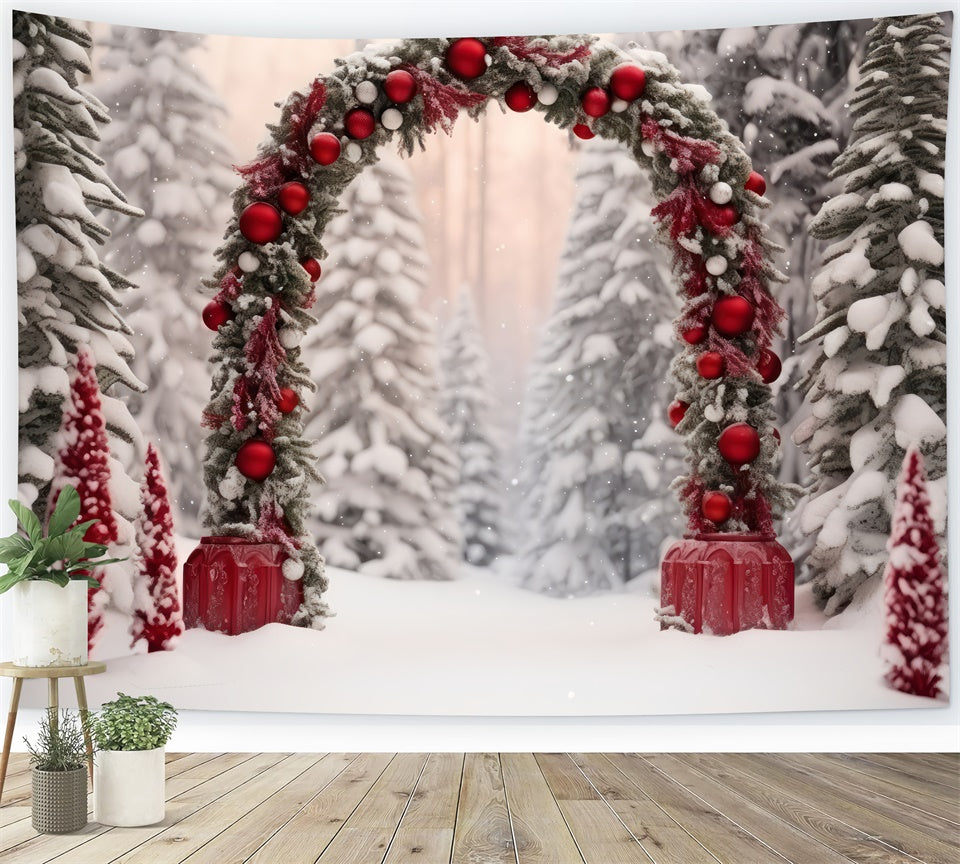 Holiday Wonderland Pathway with Snowy Arch Backdrop BRP8-127