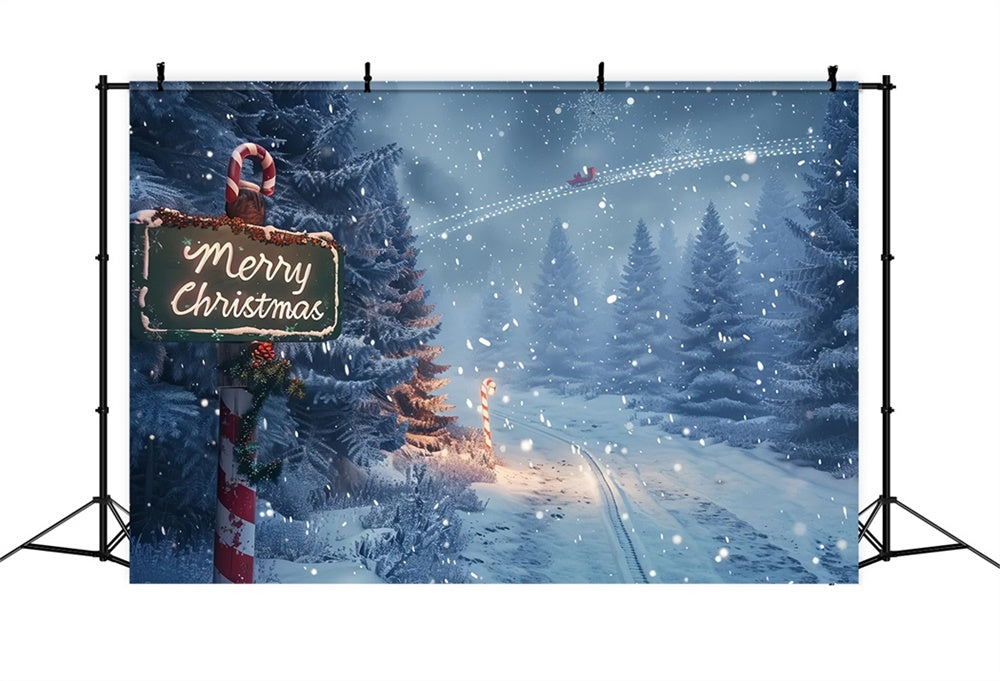 Enchanted Christmas Forest Path Backdrop BRP8-15