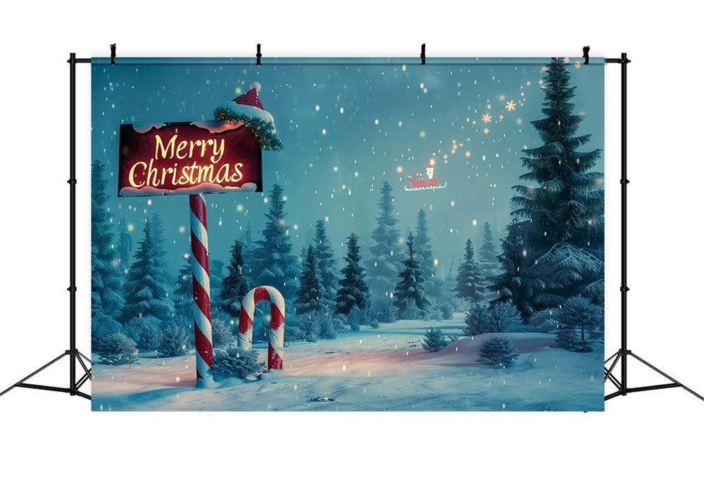 Magical Christmas Forest Scene Backdrop BRP8-16