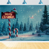 Magical Christmas Forest Scene Backdrop BRP8-16