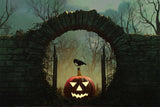 Eerie Crow and Jack-o-Lantern Archway Backdrop BRP8-170