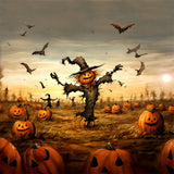 Halloween Spooky Scarecrow in Pumpkin Field Backdrop BRP8-202