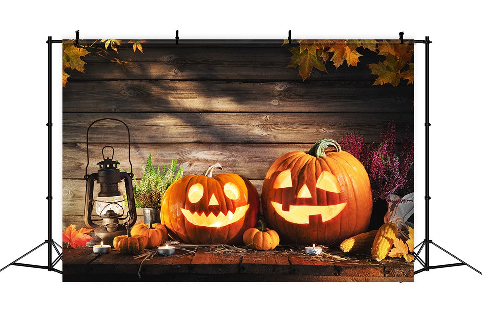 Cozy Pumpkin Harvest Display Halloween Backdrop BRP8-227