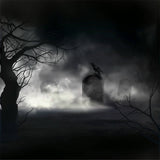 Misty Graveyard with Raven Halloween Backdrop BRP8-232