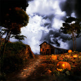 Halloween Spooky Farmhouse under Full Moon Backdrop BRP8-235