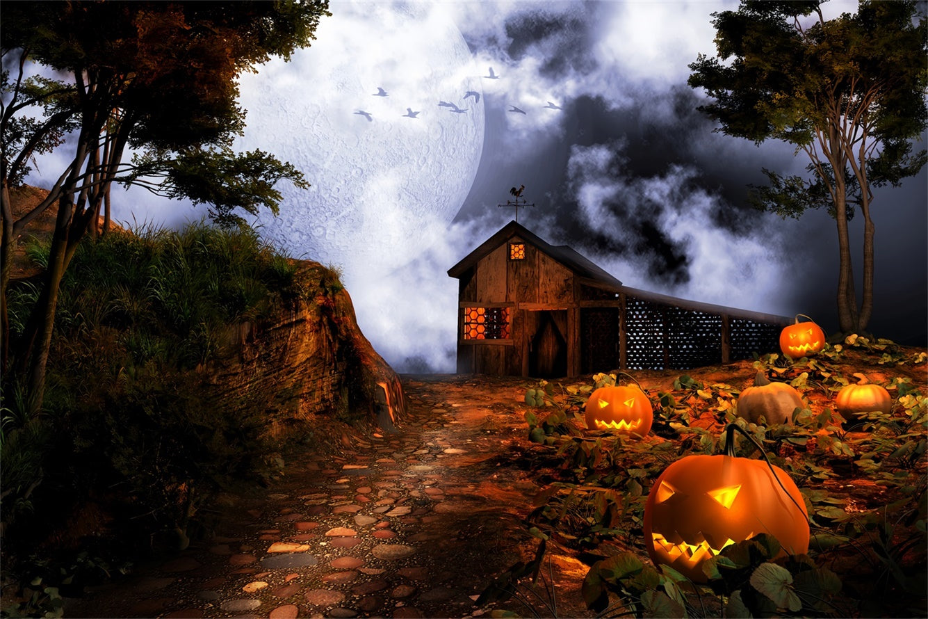 Halloween Spooky Farmhouse under Full Moon Backdrop BRP8-235