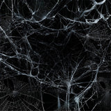 Chilling Spider Web Halloween Scene Backdrop BRP8-272