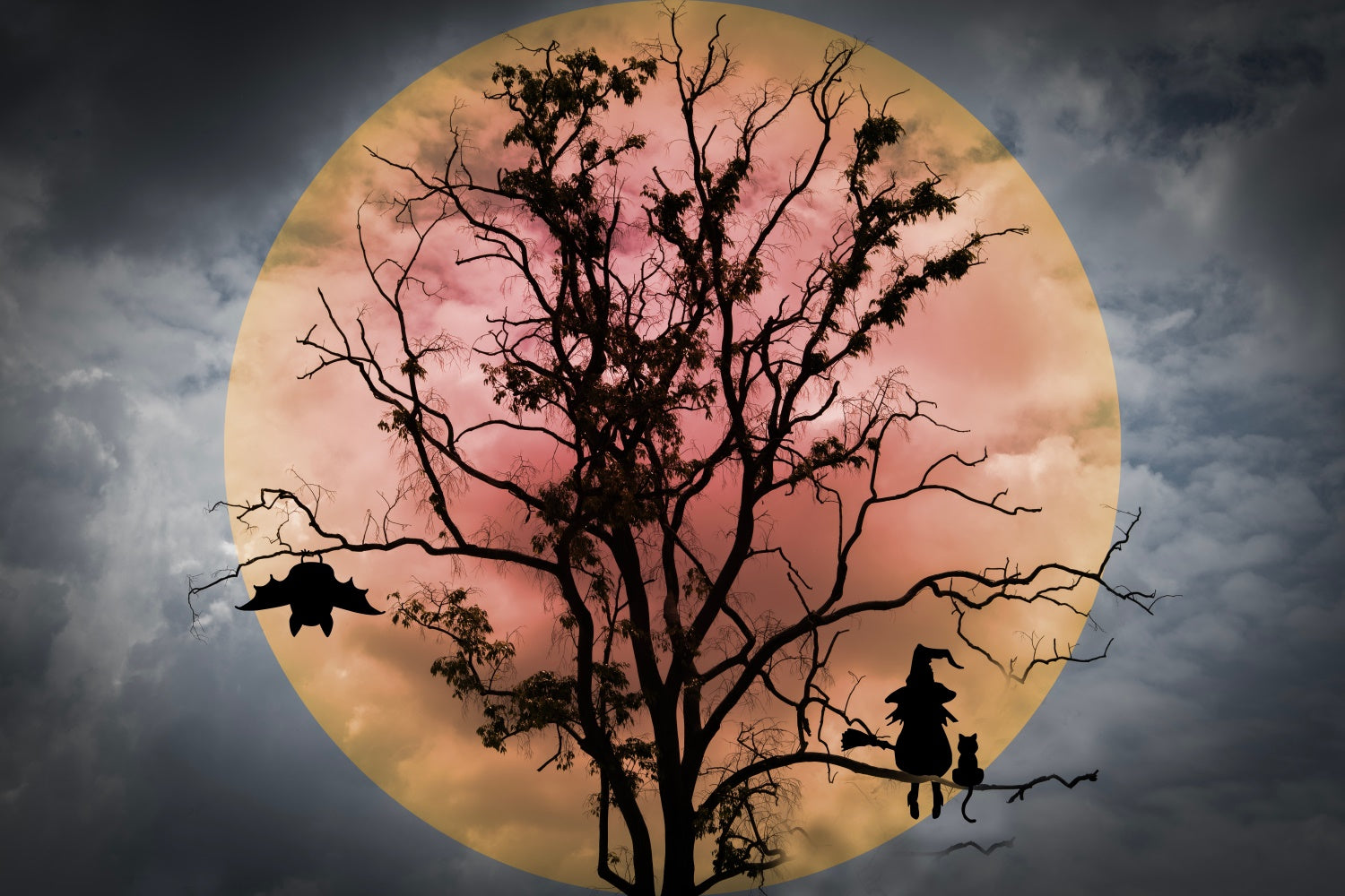 Halloween Witch and Bats Red Moon Backdrop BRP8-275