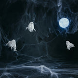 Halloween Spooky Ghosts and Spider Web Backdrop BRP8-277