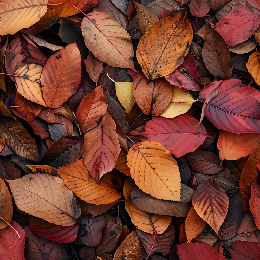 Deep Red and Orange Leaves Fall Floor Backdrop BRP8-286