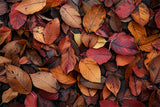 Deep Red and Orange Leaves Fall Floor Backdrop BRP8-286