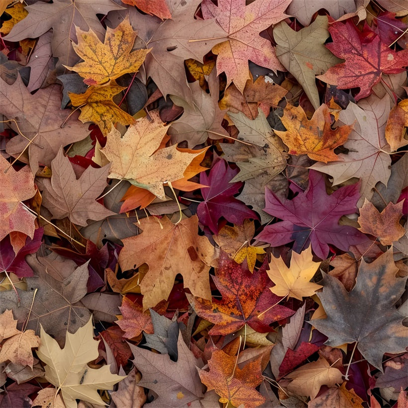 Golden Maple Leaves Scattered Over Floor Backdrop BRP8-287