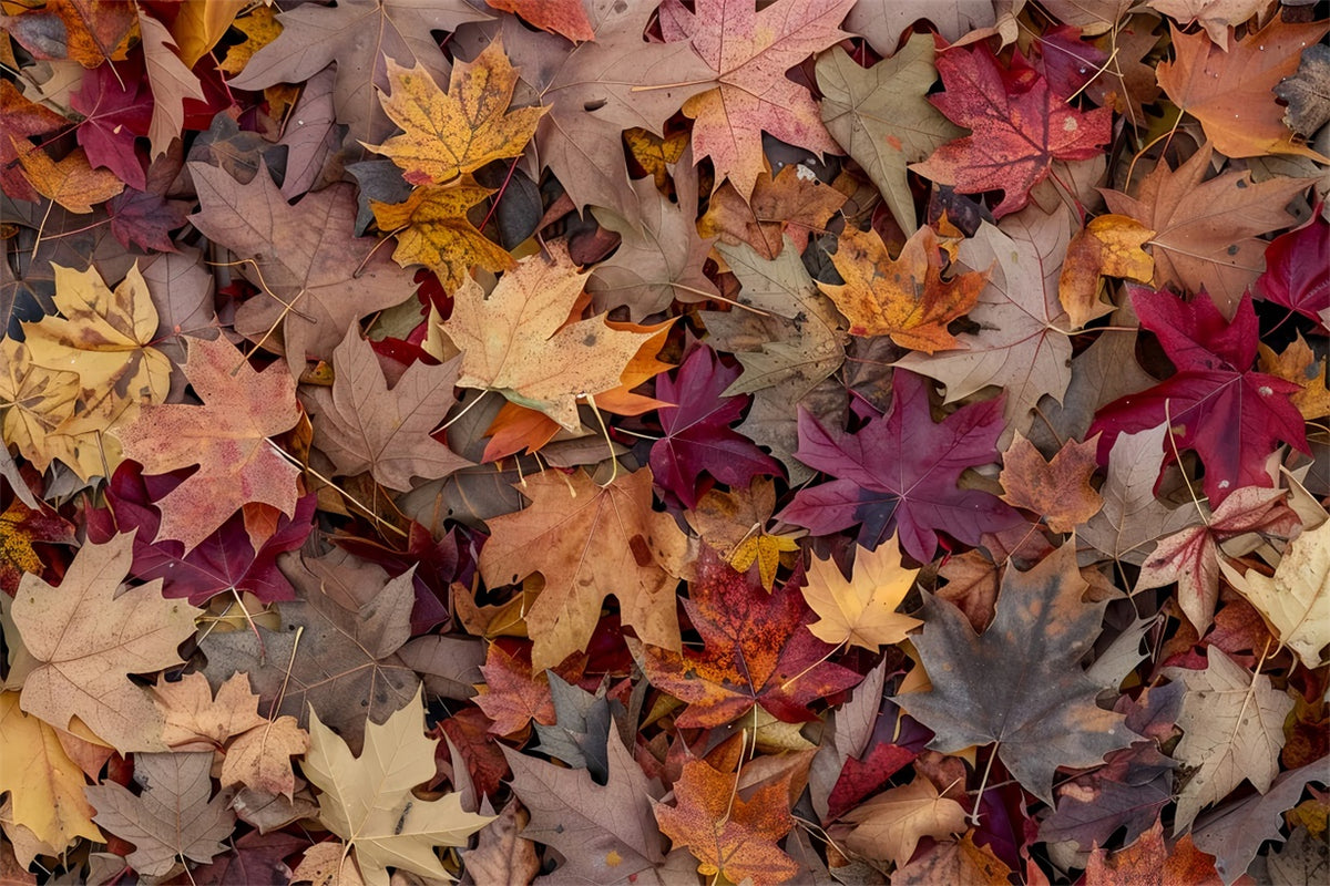 Golden Maple Leaves Scattered Over Floor Backdrop BRP8-287