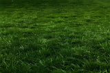 Fresh Green Grass Lawn Outdoor Floor Backdrop BRP8-288