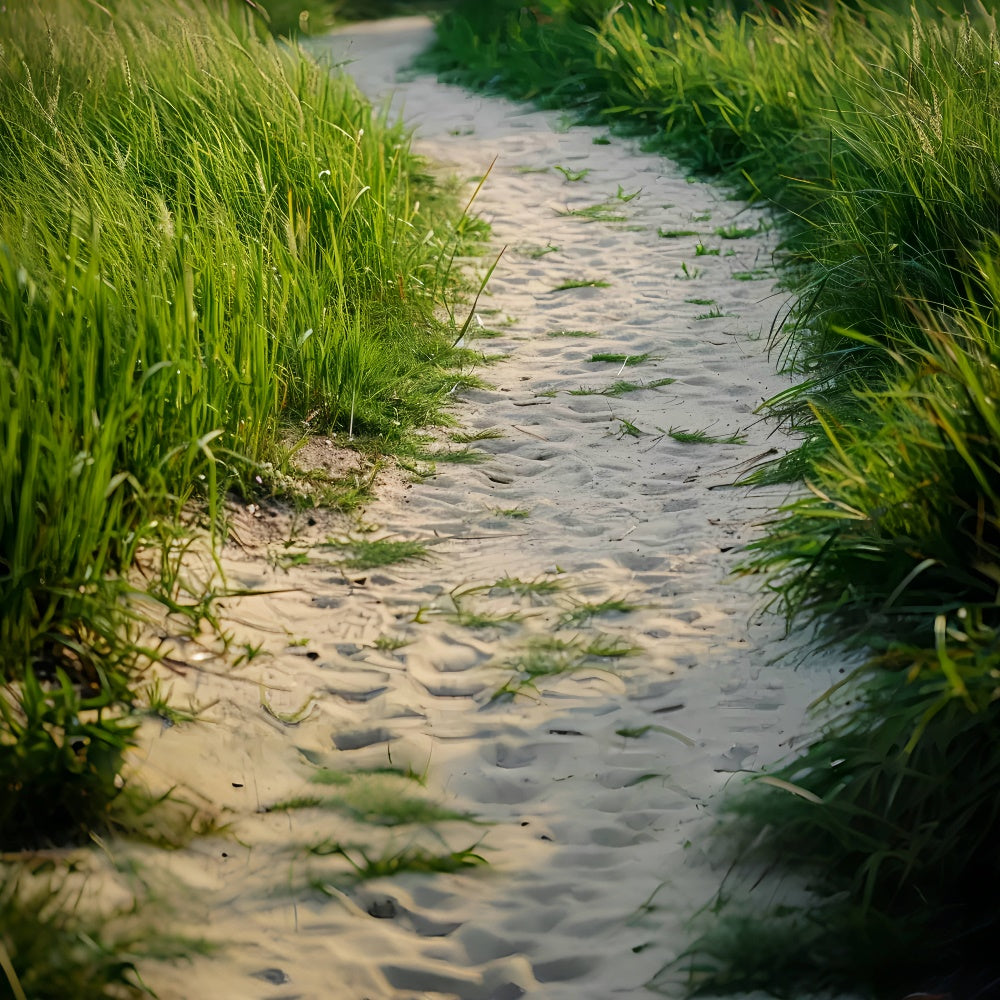 Grass and Sandy Country Trail Floor Backdrop BRP8-292