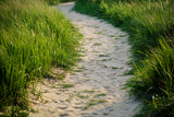 Grass and Sandy Country Trail Floor Backdrop BRP8-292