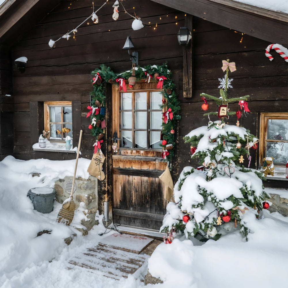 Rustic Winter Cabin with Decorated Door Backdrop BRP8-315