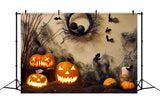 Dark Branches and Jack-O'-Lantern Glow Backdrop BRP8-355