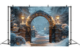 Christmas Mystical Forest Archway Backdrop BRP8-59