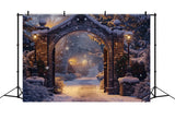 Christmas Serene Snowy Path Arch Backdrop BRP8-61