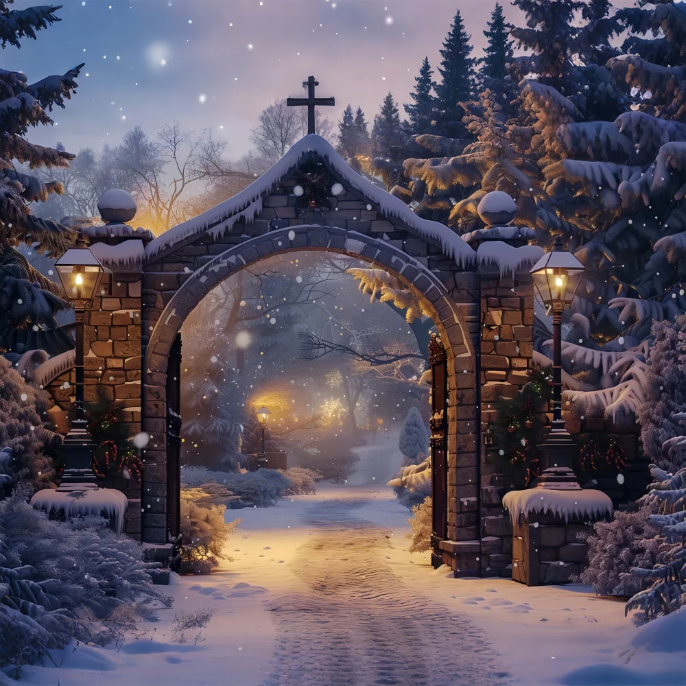 Christmas Serene Snowy Path Arch Backdrop BRP8-61