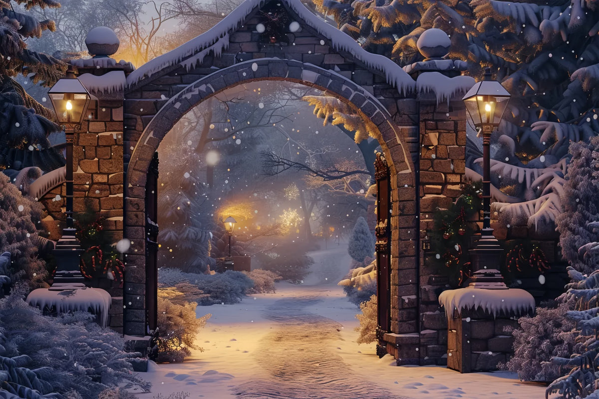 Christmas Serene Snowy Path Arch Backdrop BRP8-61