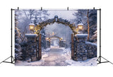 Christmas Winter Night Stone Arch Pathway Backdrop BRP8-62