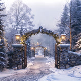 Christmas Winter Night Stone Arch Pathway Backdrop BRP8-62