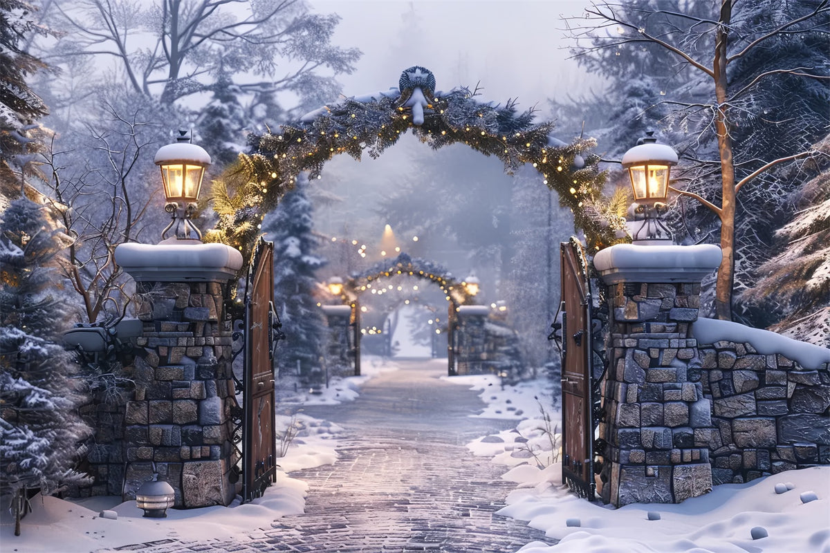 Christmas Winter Night Stone Arch Pathway Backdrop BRP8-62