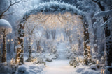 Glowing Snow-Covered Arch Christmas Backdrop BRP8-86