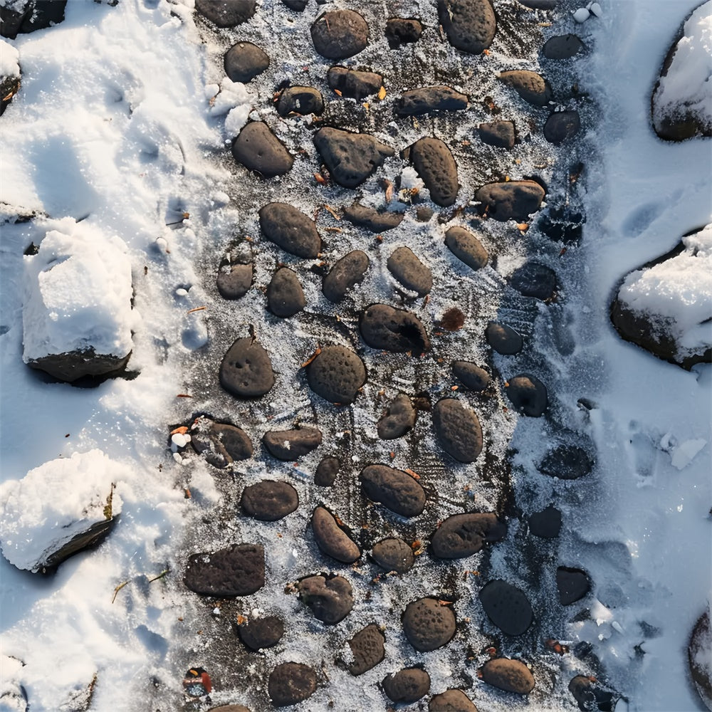 Frosty Pebble Pathway Fabric Floor Backdrop BRP9-11