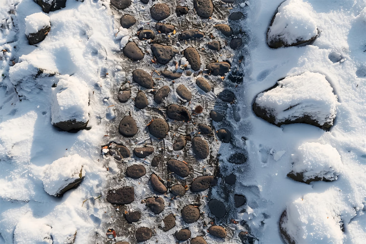 Frosty Pebble Pathway Fabric Floor Backdrop BRP9-11