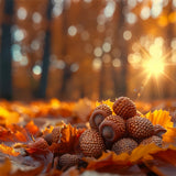 Sunlit Acorns Golden Autumn Leaf Pile Backdrop BRP9-139