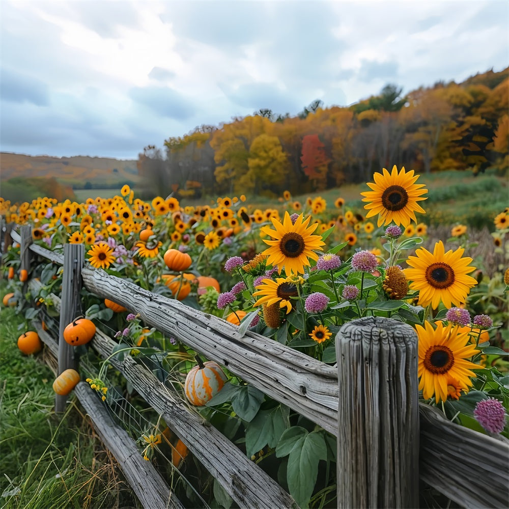 Fall Sunflowers Pumpkins Rustic Wooden Fence Backdrop BRP9-185