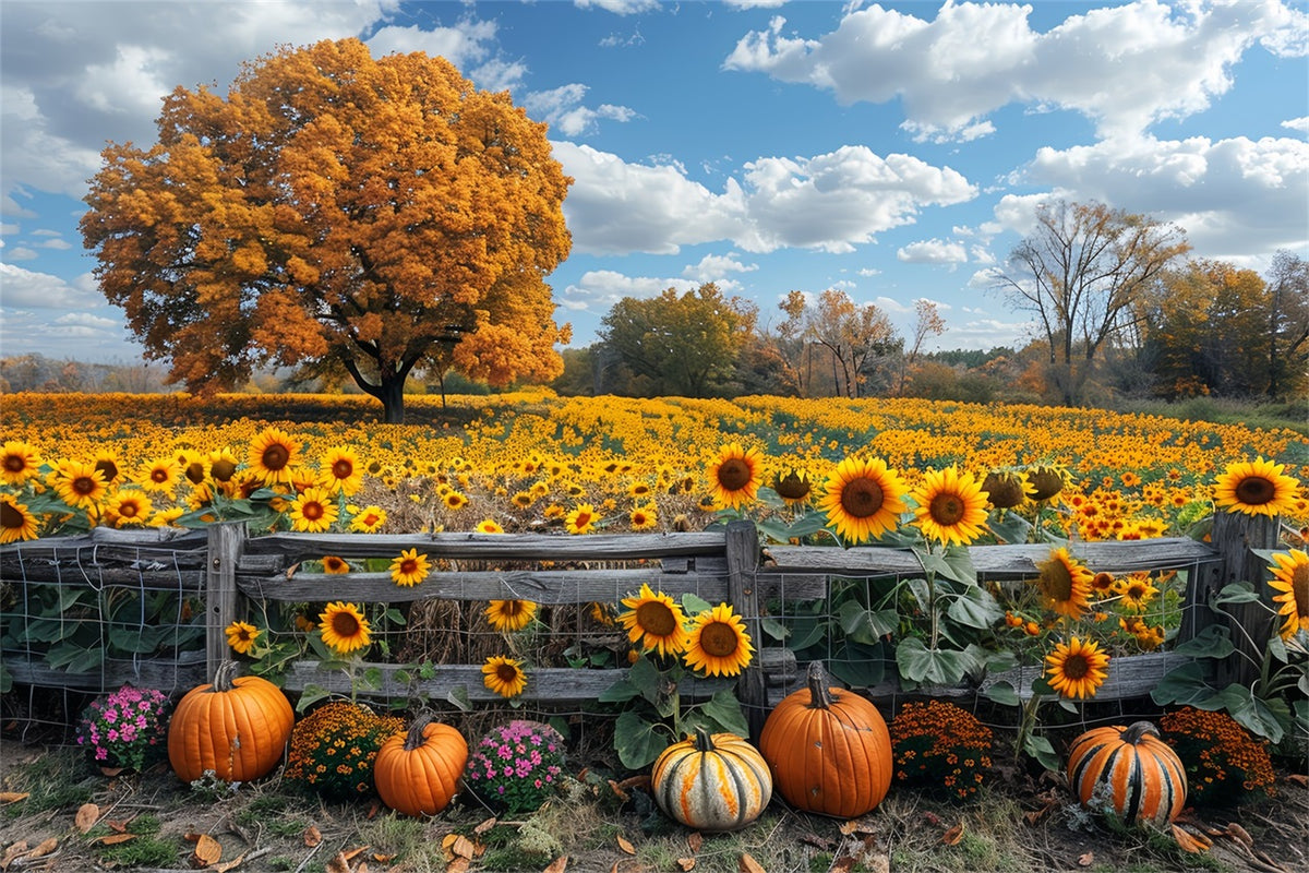 Fall Sunflower Field Large Tree Pumpkins Backdrop BRP9-186