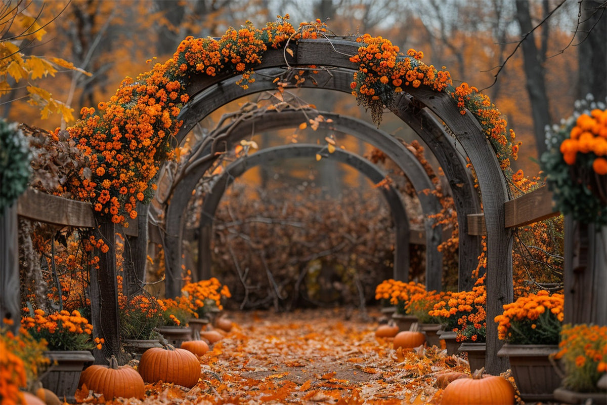 Fall Floral Archway Pumpkins Falling Leaves Backdrop BRP9-188