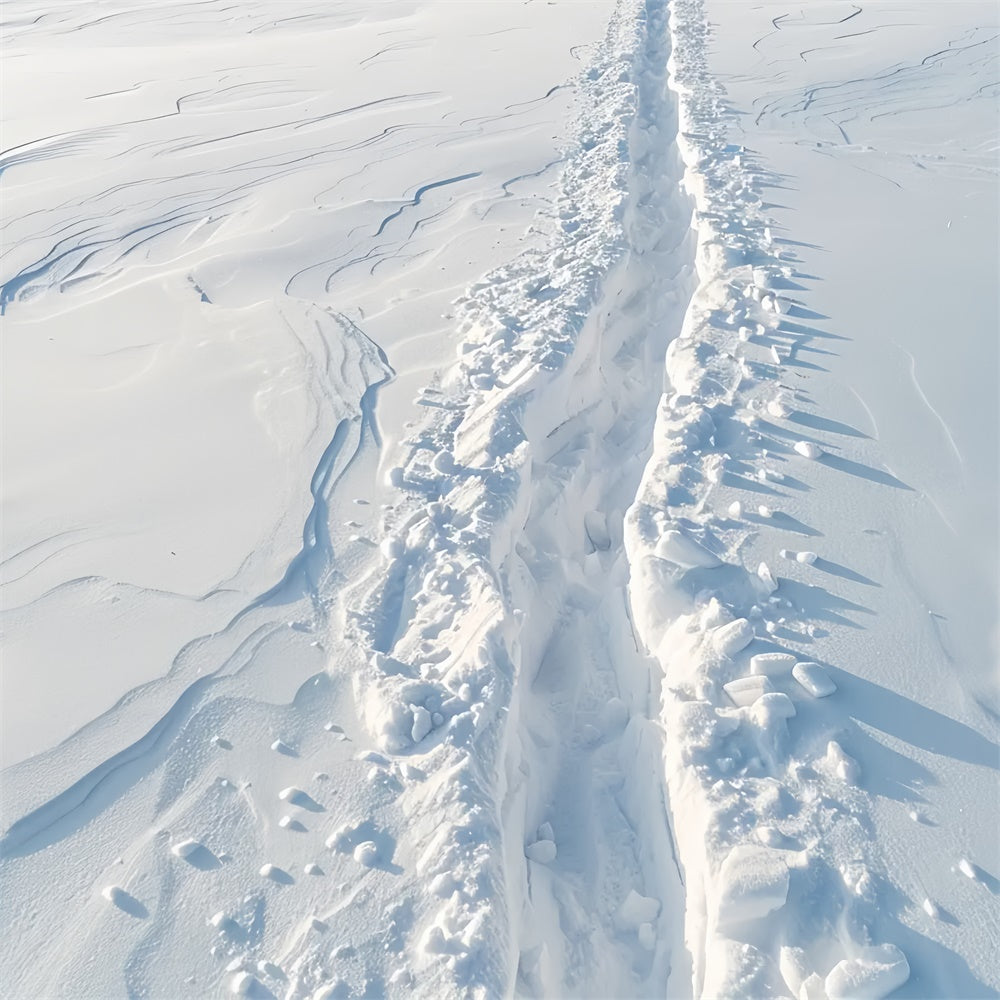 Snow Trail on Icy Ground Fabric Floor Backdrop BRP9-19