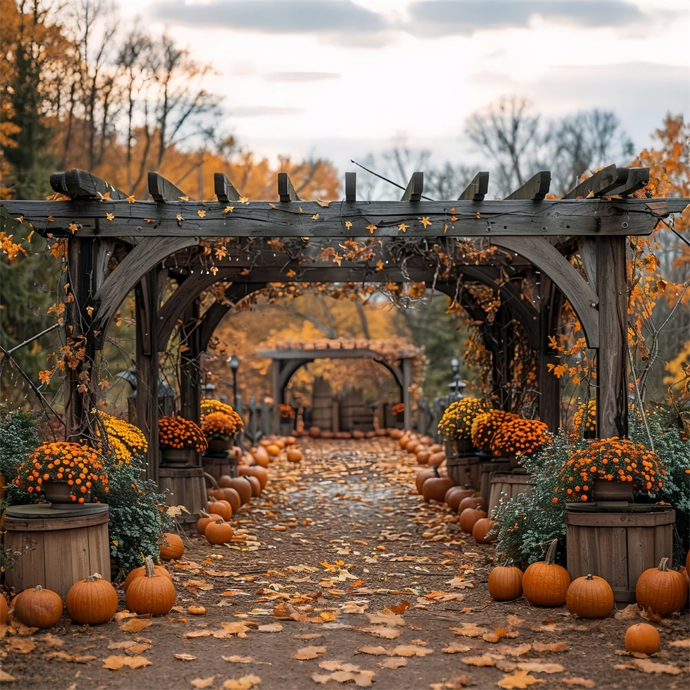 Fall Pathway Pumpkins Flower Arches Backdrop BRP9-190