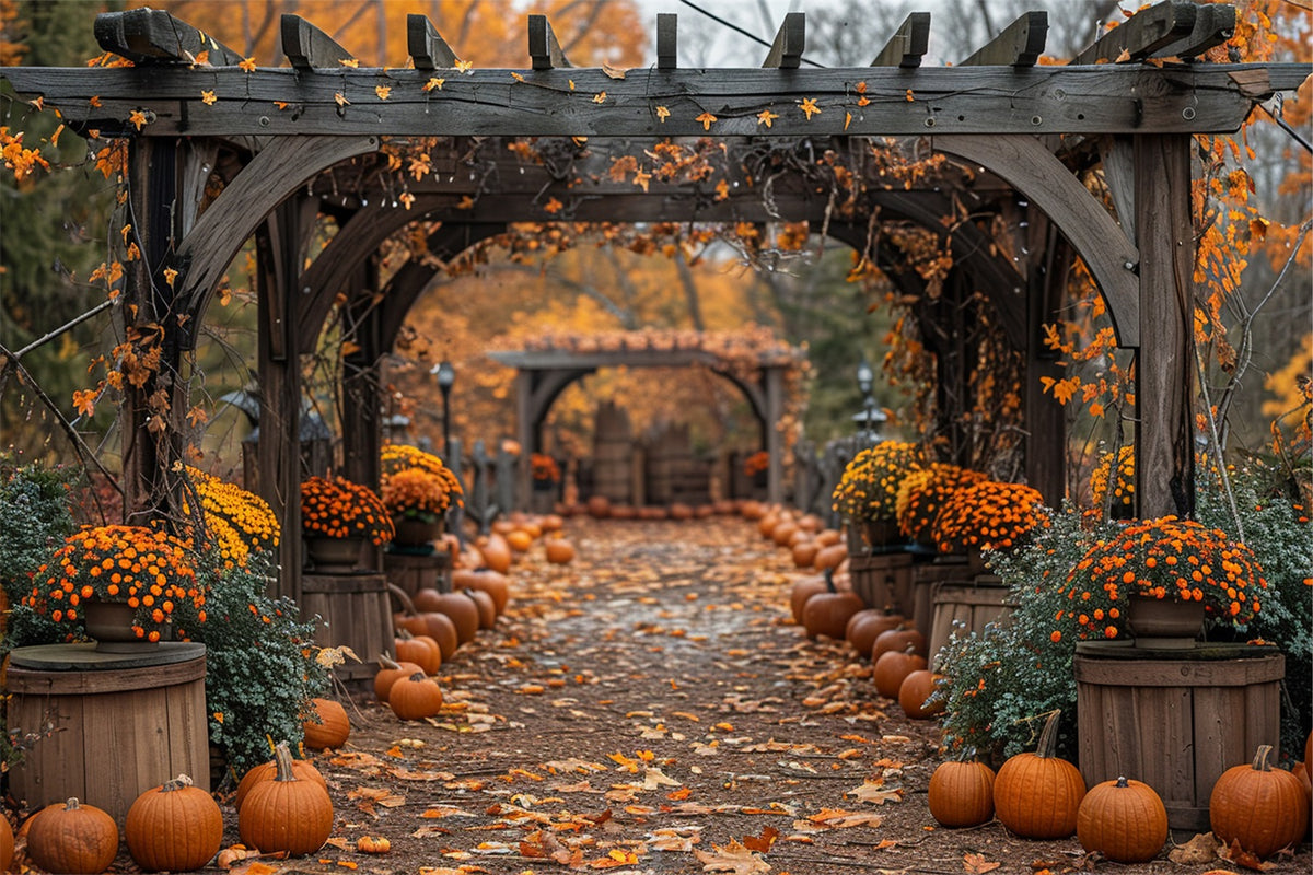 Fall Pathway Pumpkins Flower Arches Backdrop BRP9-190