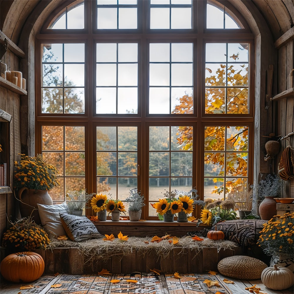 Autumn Sunflowers Cozy Window Nook Backdrop BRP9-206