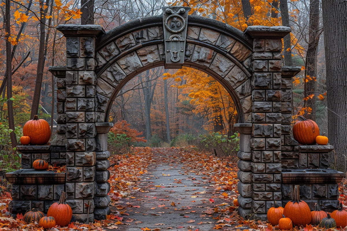 Ancient Stone Arch Pumpkin Fall Scene Backdrop BRP9-209