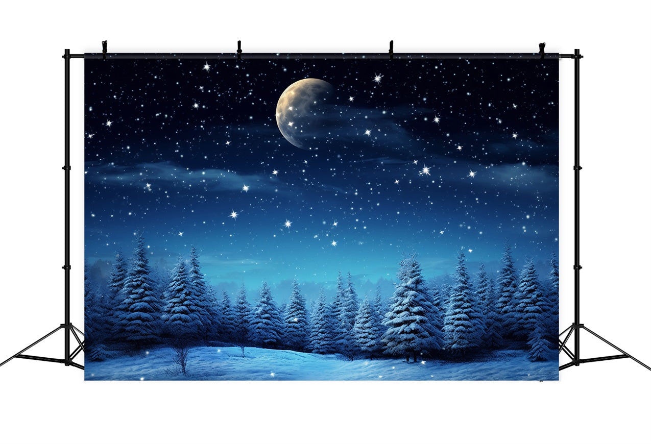 Starry Night Winter Wonderland Photography Backdrop BRP9-211